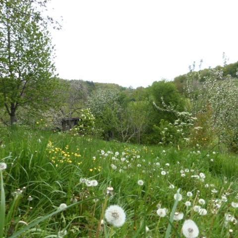 Le Bourmier Anlhiac Near Excideuil Villa Luaran gambar